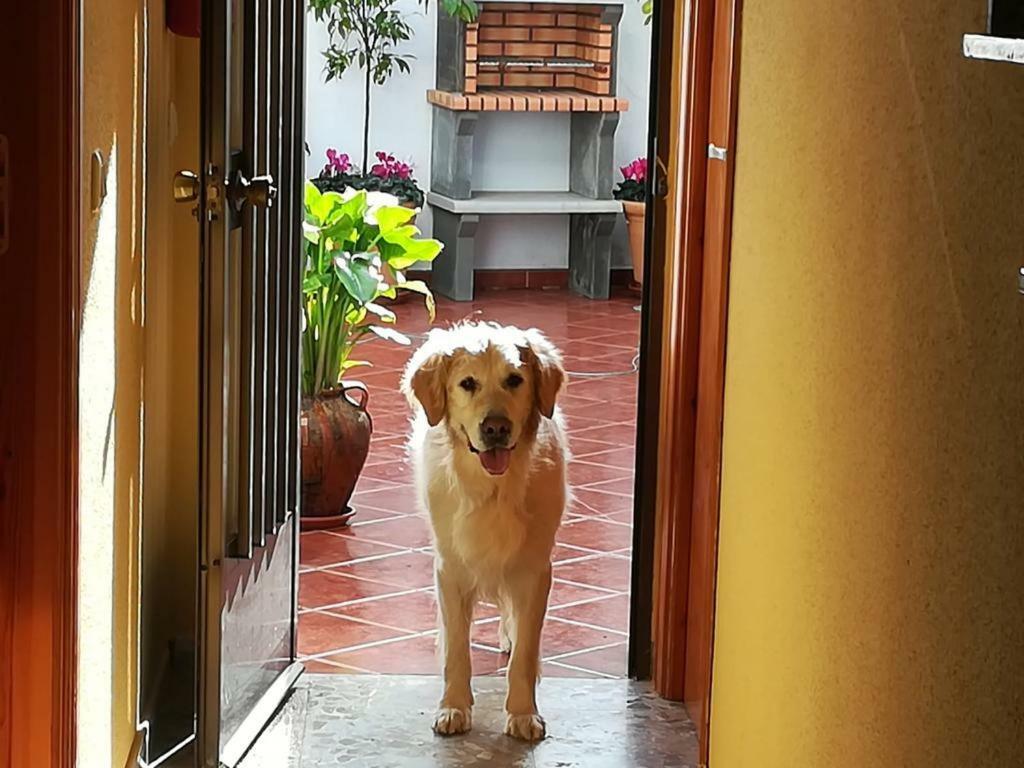Casa Rural La Herencia Alía Dış mekan fotoğraf